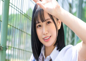 樟叶杏