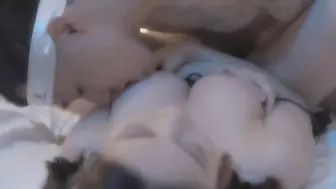 麻豆传媒映画，MD-0075 宅男性念意淫 幻想强上性感女神
