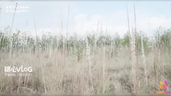 西野加奈_中出魅魔奈奈_荒野深喉吞屌_连体情趣极致魅惑骑乘榨精内射